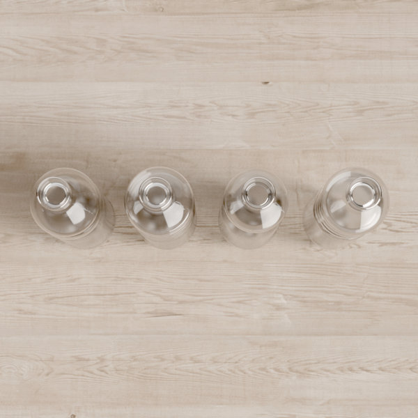 Seletti Estetico Quotidiano Glass Decorative Bottles Perigold